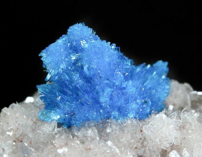 Vibrant Blue Cavansite Cluster on Stilbite - India #45874